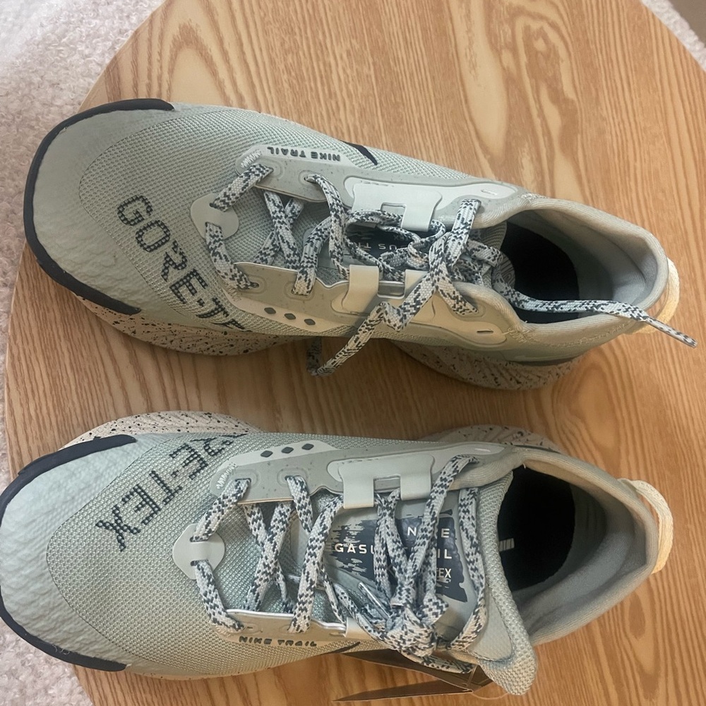 Nike Pegasus Trail GORE-TEX Shoes in Seafoam Green Women’s 6.5
